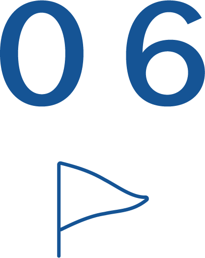 06